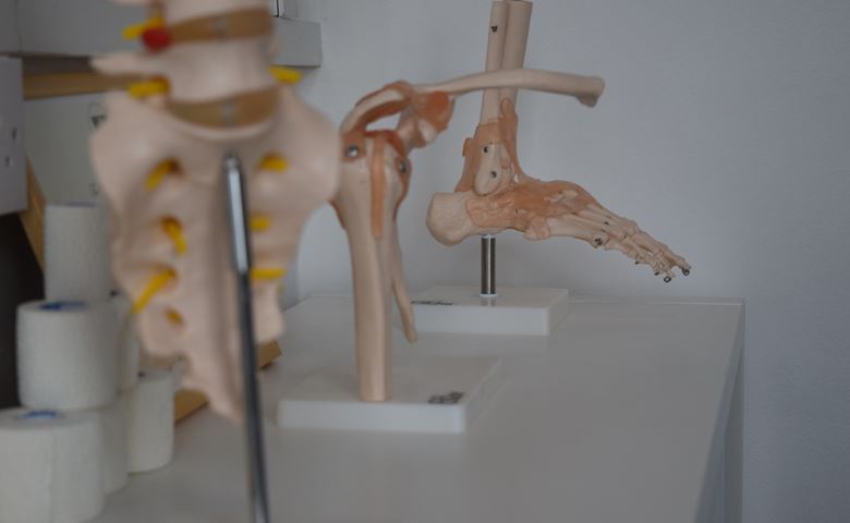 Skeleton foot